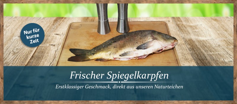 Frischer Spiegelkarpfen